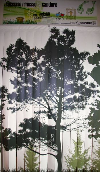 IMG_1977 - Versione 2